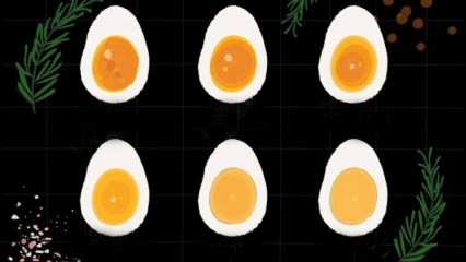 Bagaimana telur direbus? Kali mendidih telur! Berapa menit telur rebus mendidih?
