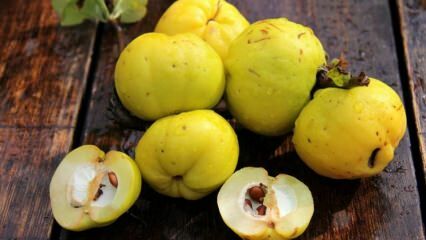 Pendamping quince yang membersihkan paru-paru! Apa manfaat dari quince? Apa yang dilakukan teh daun quince?
