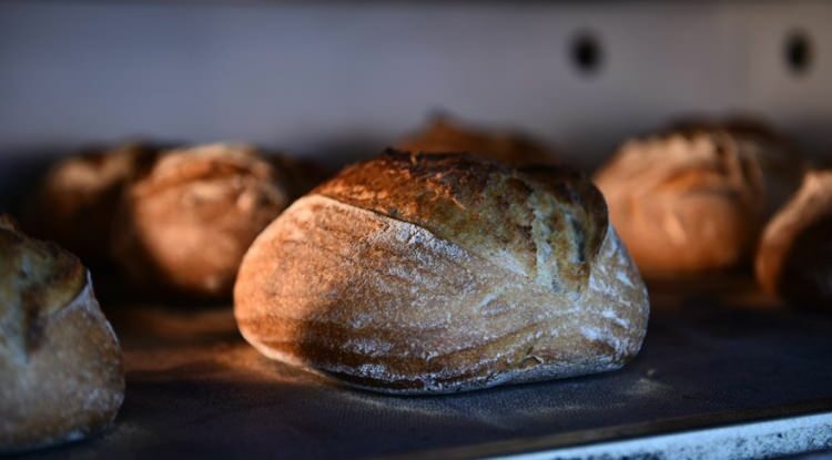 Bagaimana cara membuat roti penghuni pertama?