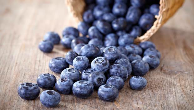 Bagaimana Memahami Blueberry?