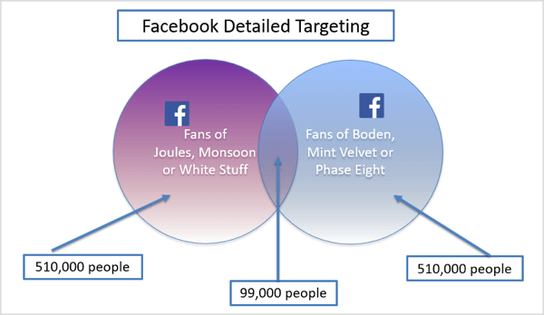 Grafik contoh rinci penargetan Facebook