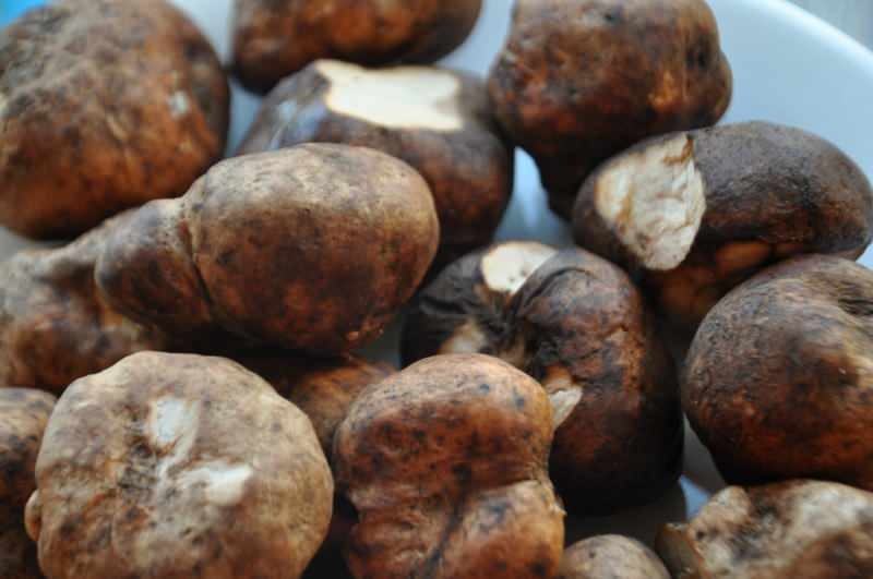 gambar jamur truffle dicampur dengan kentang