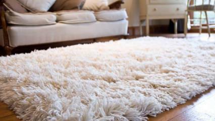 Bagaimana cara membersihkan karpet Shaggy?