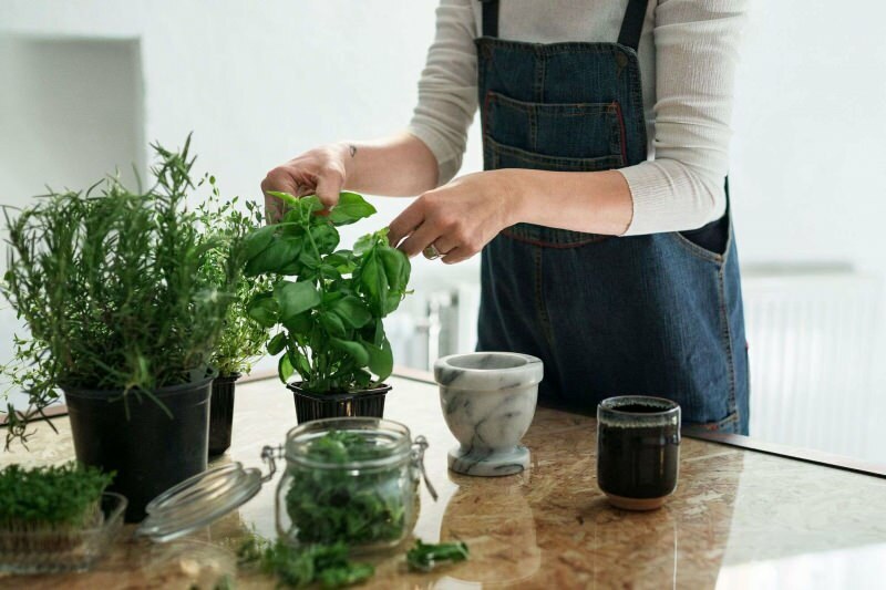 Bagaimana cara menanam tanaman di rumah? 5 saran bagi yang ingin menanam tanaman di rumah dengan caranya sendiri