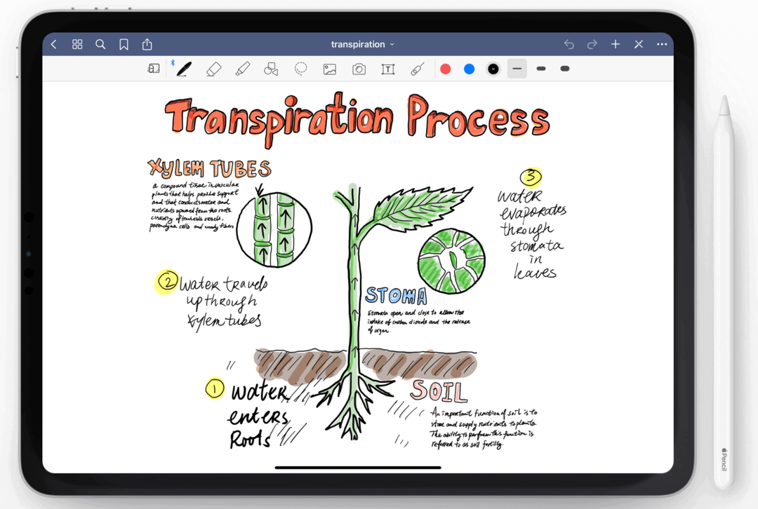 Catatan bagus untuk iPad