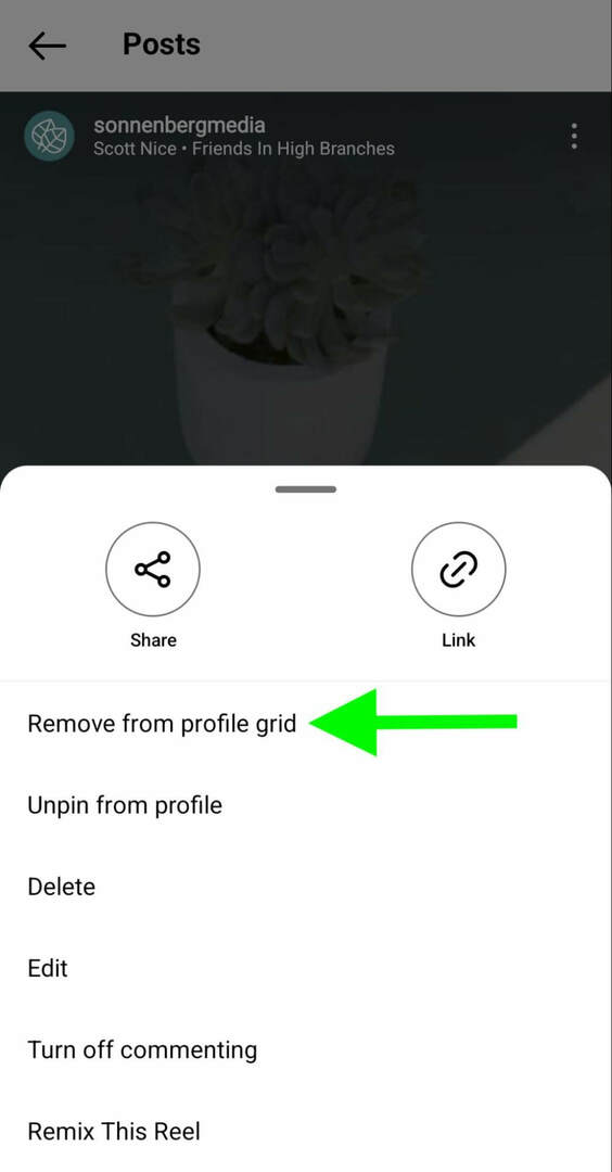 bagaimana-untuk-instagram-unpin-reels-profile-remove-grid-sonnenbergmedia-langkah-4