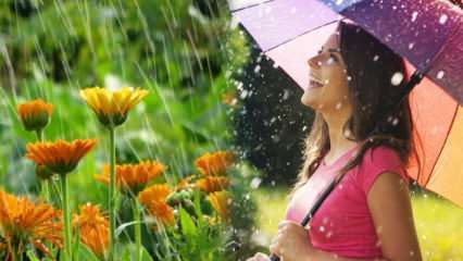 Apakah hujan di bulan April menyembuhkan? Apa saja doa yang harus dibacakan ke dalam air hujan? Manfaat hujan April