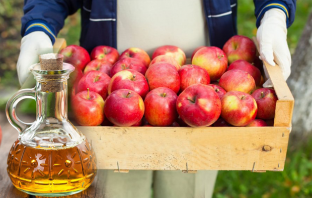 Apakah cuka sari apel melemah?