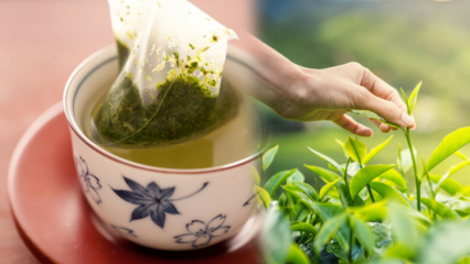 Apakah mengguncang teh hijau melemah? Apa perbedaan antara kantong teh dan teh yang diseduh? Jika Anda minum teh hijau sebelum tidur ...