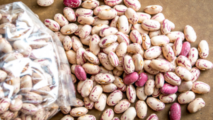 Apa manfaat kacang merah? Penyakit apa yang dicegah kacang merah?