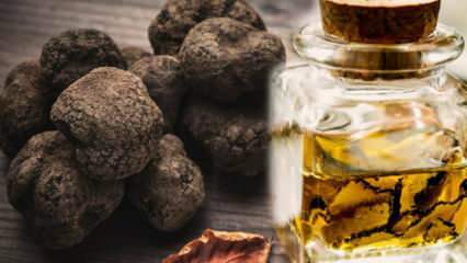 Apa manfaat truffle? Bagaimana cara mendapatkan minyak truffle dan apakah ada manfaatnya?