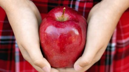 Bagaimana apel busuk dievaluasi? 