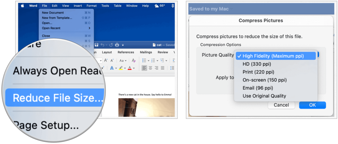 Microsoft Word di Mac mengurangi ukuran file