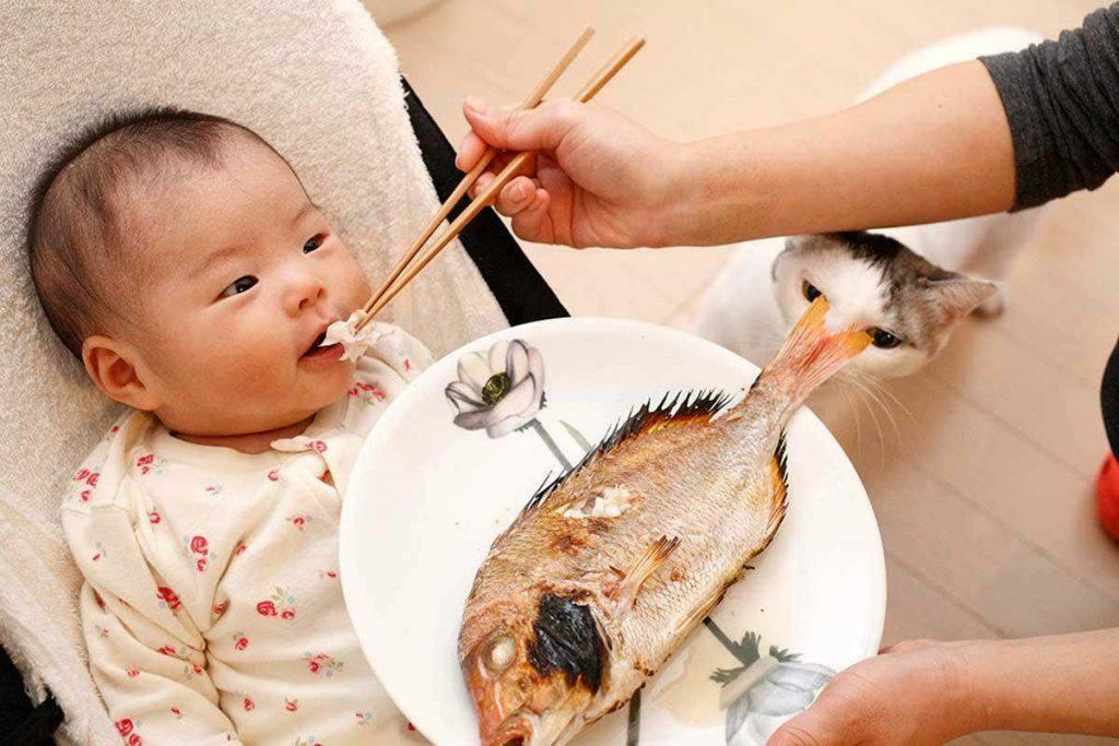 memberi makan ikan kepada bayi
