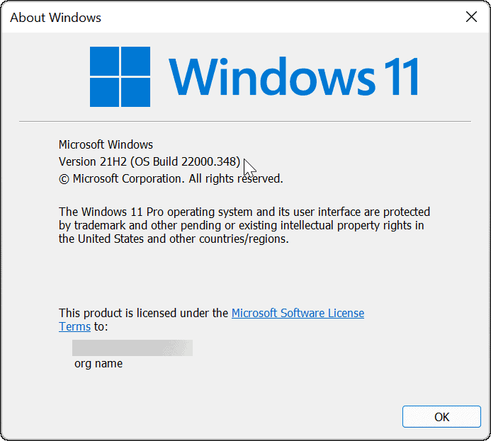 Versi dan Bangun Windows 11 melalui perintah winver