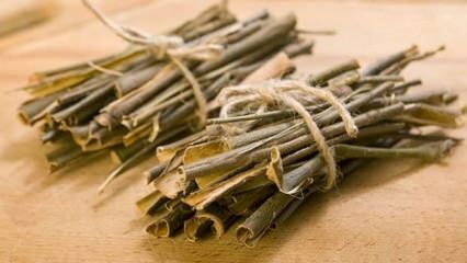 Apa manfaat kulit pohon willow putih? Jika Anda minum segelas teh kulit pohon willow putih setiap hari ...
