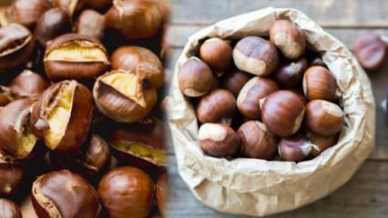 Cara menggambar chestnut? Trik membuat chestnut