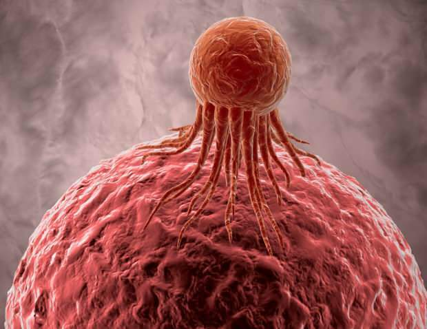 sel kanker secara negatif mempengaruhi sel sehat lainnya