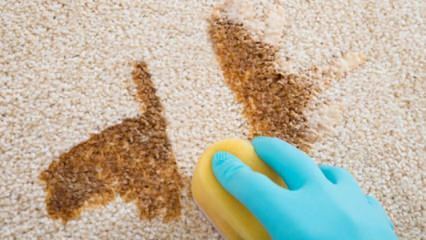 Bagaimana cara membuat semprotan pembersih karpet di rumah?