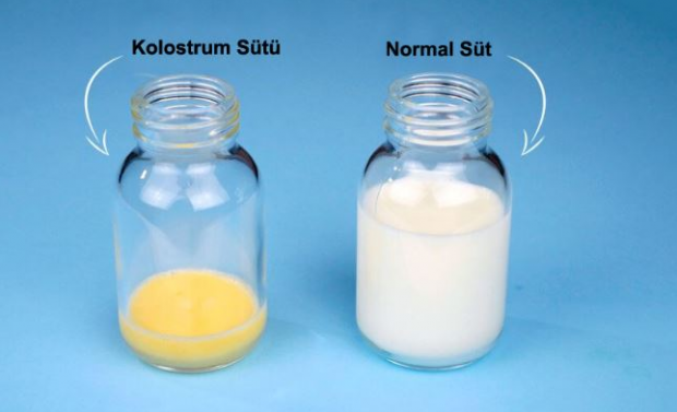 Apa manfaat susu kolostrum bagi bayi? Beda dengan ASI