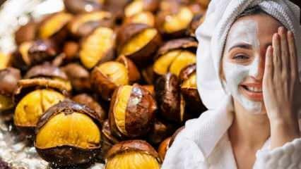 Apa saja manfaat kastanye untuk kulit? Membuat masker kulit dari buah chestnut