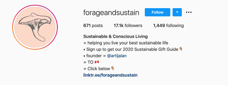 contoh profil instagram dari @forageandsustain dengan catatan di info profil mereka untuk mengklik link bio untuk lebih lanjut