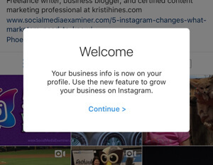 profil bisnis instagram terhubung ke halaman facebook