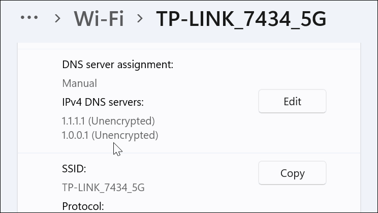 Pengaturan DNS dikonfirmasi