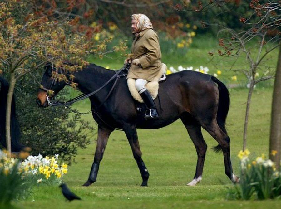 Ratu Elizabeth menunggang kuda 