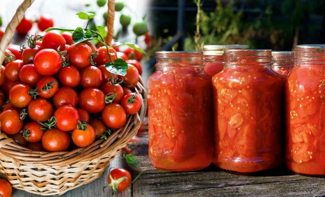 Bagaimana cara memilih tomat? Bagaimana cara memilih tomat Menemenlik? 6 tips untuk tomat kalengan