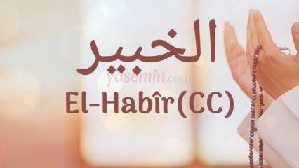 Apa yang dimaksud dengan al-Habir (c.c)? Apa keutamaan nama Al-Habir? Esmaul Husna Al-Habir...
