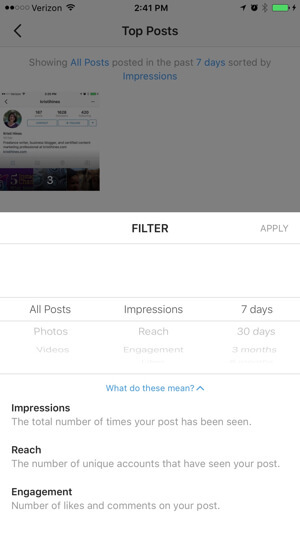 filter wawasan profil bisnis instagram
