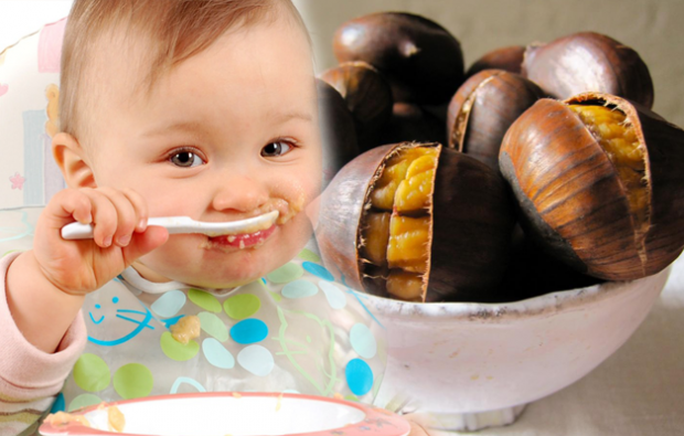 Bisakah bayi diberi chestnut?