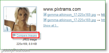 Screenshot TinEye -menemukan nama yang memungkinkan untuk mencocokkan gambar
