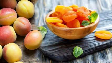 Bagaimana cara mengeringkan aprikot di rumah dengan metode alami?