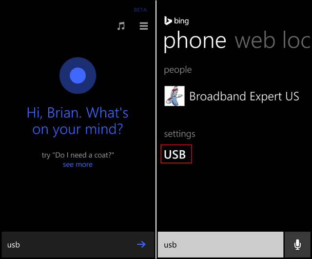 Cortana USB Search