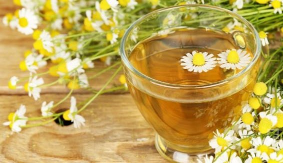 teh chamomile untuk sakit tenggorokan
