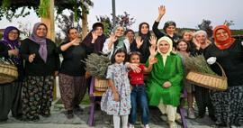 Ibu Negara Erdoğan mengunjungi Desa Ekologis dan memanen lavender di Ankara