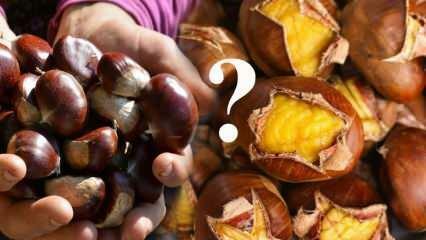 Berapa banyak kalori dalam chestnut? Apa manfaat chestnut? Bisakah chestnut dimakan saat diet?