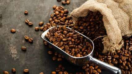 Bagaimana cara mengetahui bahwa kopi berkualitas baik, bagaimana cara penyimpanannya? 