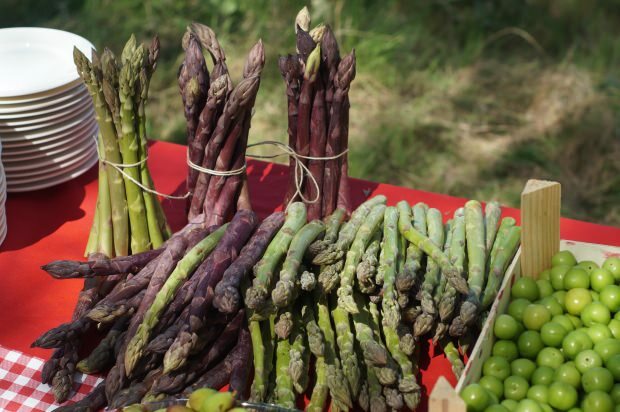 Apa manfaat asparagus?