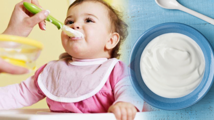 Bagaimana cara membuat yogurt untuk bayi? Resep yogurt buah buatan sendiri untuk bayi