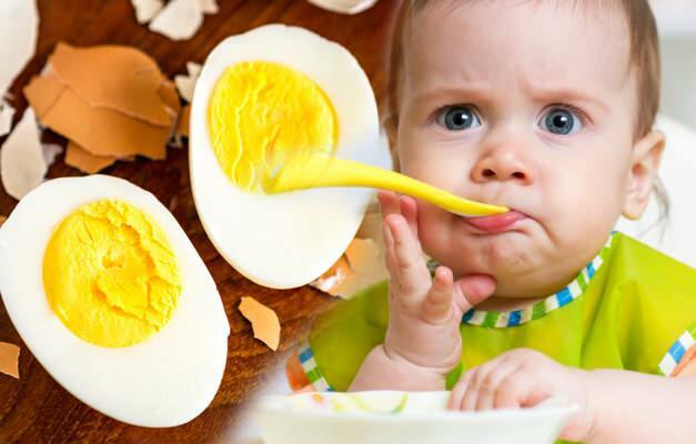 Apakah telurnya alergi? Resep telur untuk bayi