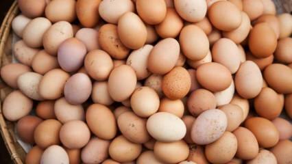 Apa yang harus dipertimbangkan ketika memilih telur?