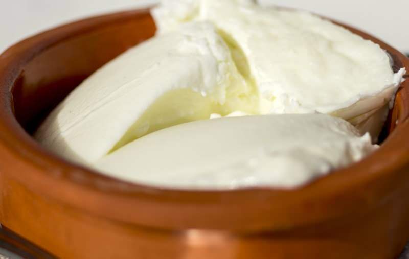 yogurt kerbau kaya akan kalsium