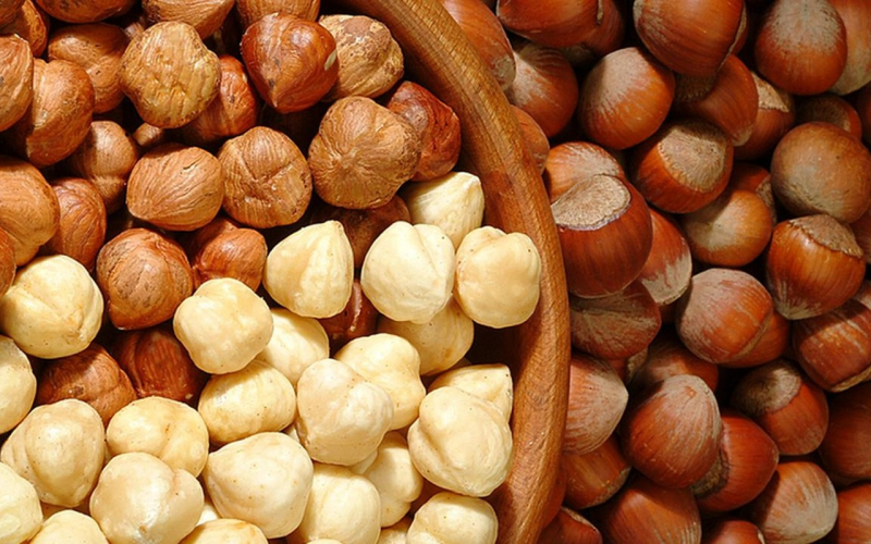 hazelnut mengandung vitamin E tingkat tinggi