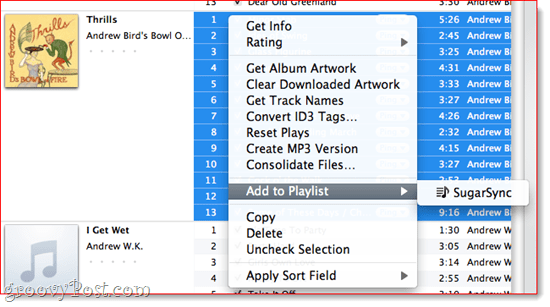 Menambahkan Daftar Putar ke SugarSync di iTunes