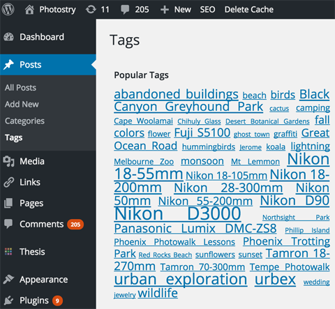 kategori dan tag di wordpress