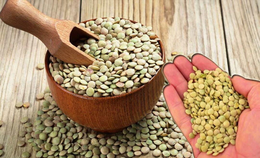 Apa yang harus dilakukan untuk mencegah infeksi pada lentil hijau? Bagaimana cara mencegah lentil hijau terinfeksi?