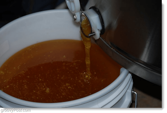 Google Honey dalam satu ember